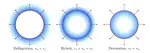 The Discriminant Power of Bubble Wall Velocities: Gravitational Waves and Electroweak Baryogenesis